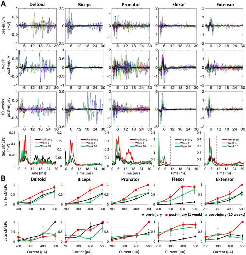 Figure 5: