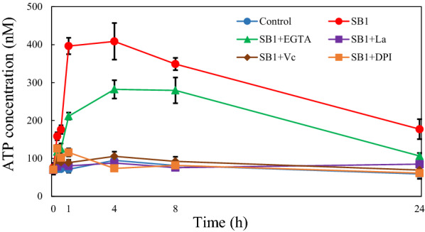 Fig. 7