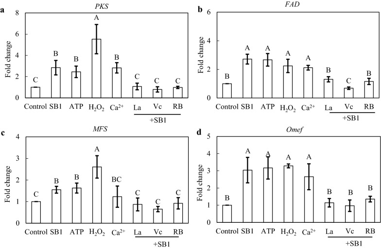 Fig. 9
