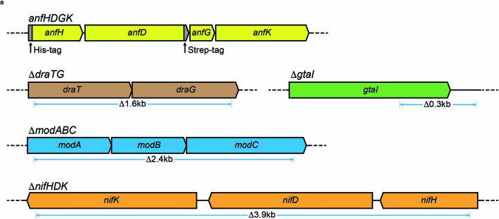 Extended Data Fig. 1