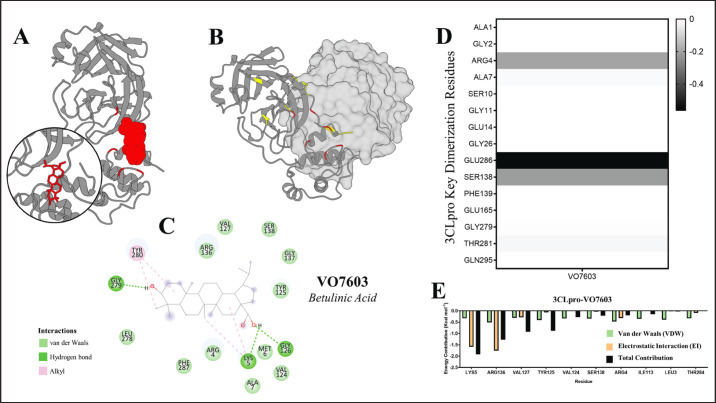 Fig. 10.