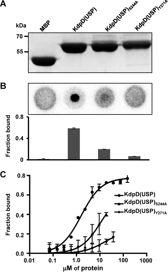 FIG 6