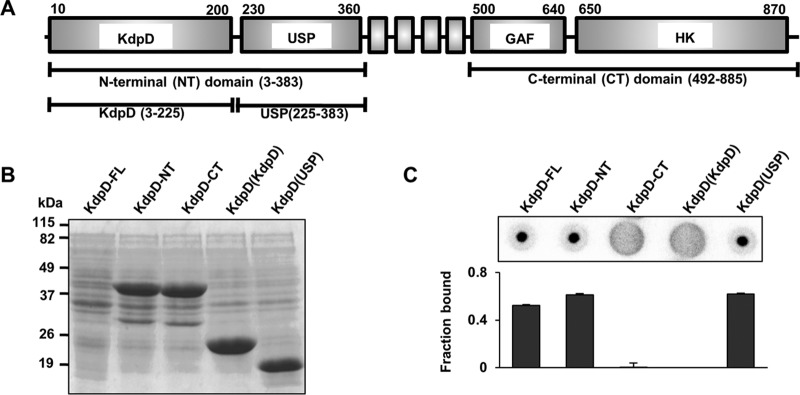 FIG 1