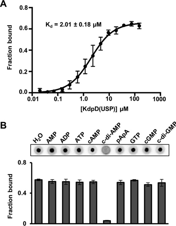 FIG 2