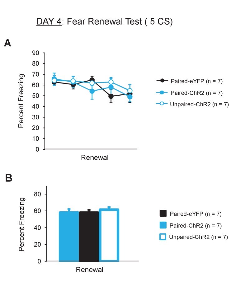 Figure 6—figure supplement 3.