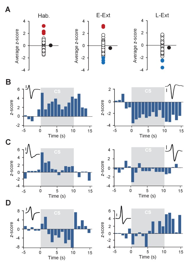 Figure 1—figure supplement 4.