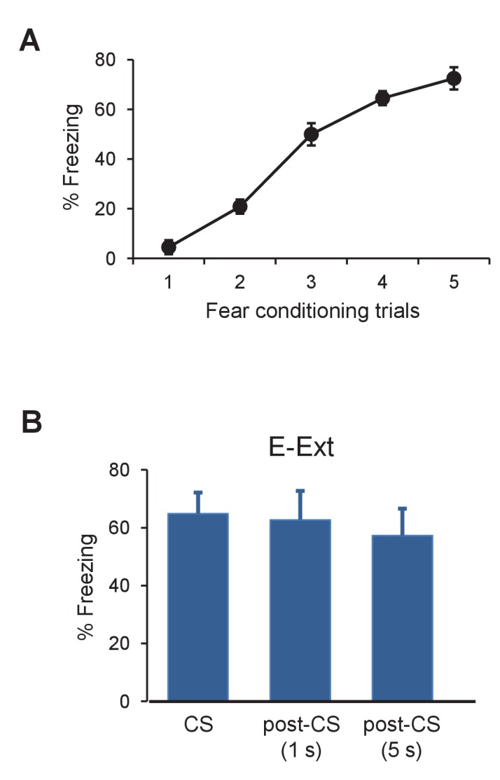 Figure 1—figure supplement 2.