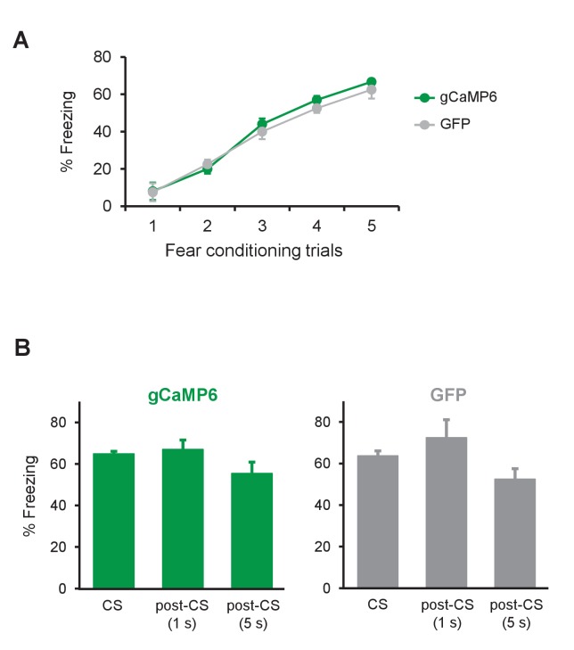 Figure 3—figure supplement 3.