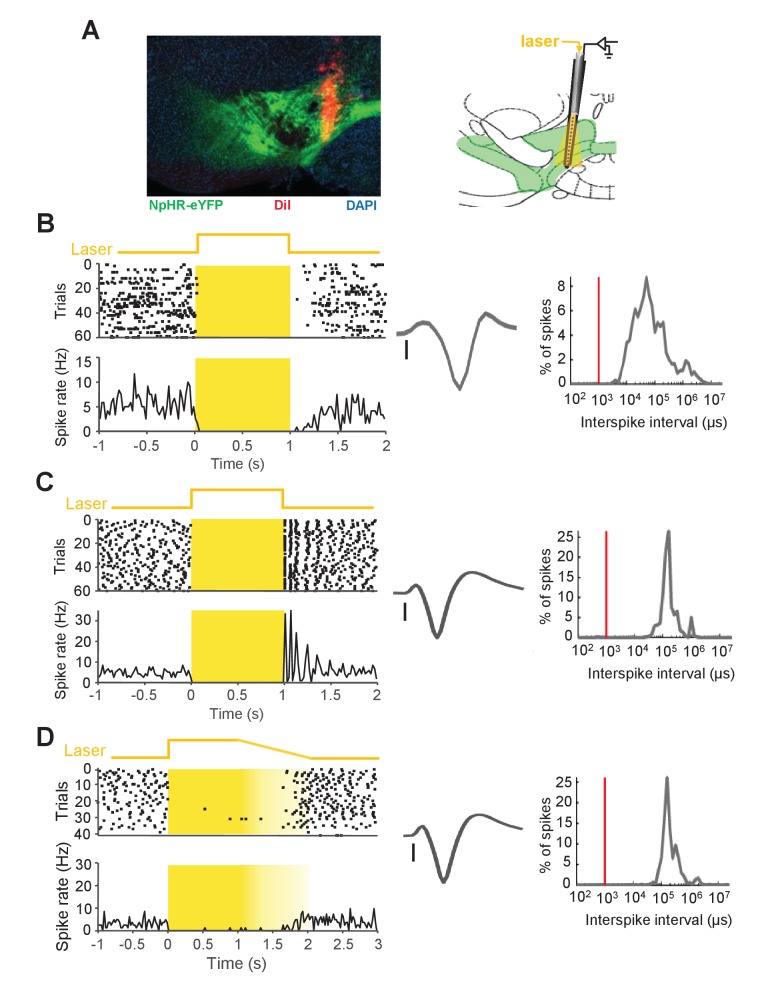 Figure 5—figure supplement 2.