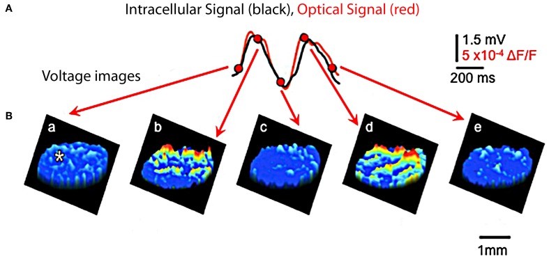 Figure 7