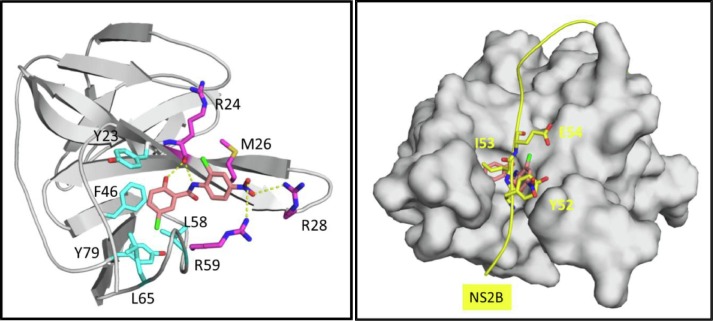 Fig. 2