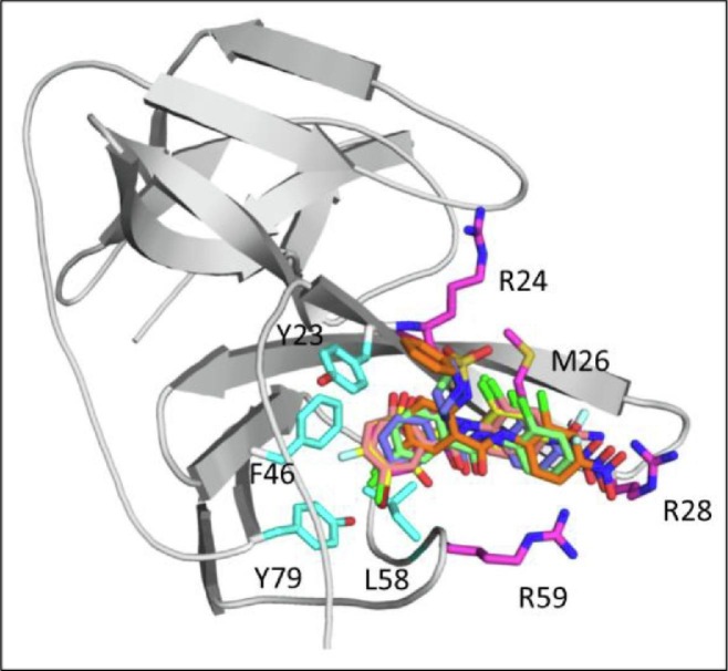 Fig. 3