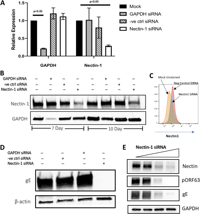 FIG 2