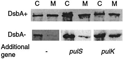 FIG. 6