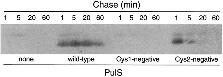 FIG. 5