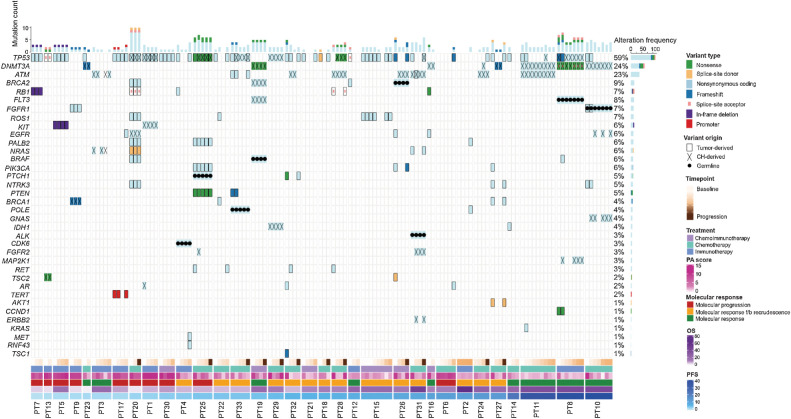 Figure 2. Landscape of sequence alterations in plasma. The type and origin of variants detected across plasma samples analyzed for this study are shown. Alteration frequencies for each gene across plasma samples analyzed are shown on the right and per-sample mutation counts are displayed in the bar plot on top. Panels indicating sampling time point, treatment type, PA scores, combined molecular response, OS, and PFS are shown below. Germline variants (filled circles) were observed in a total of 8 genes (FLT3, FGFR1, CDK6, ALK, POLE, BRAF, PTCH1, and BRCA2) on a patient-specific basis. Variants attributed to CH (crosses) were identified in canonical CH genes (DNMT3A, TP53, and ATM) in >50% (18/33) of patients analyzed for the study and across 14 additional genes at a lower prevalence. Overall, tumor-derived sequence alterations (solid border) were detected in plasma from 30 of the 33 patients analyzed and were most frequently detected in the TP53 gene, which was mutated in 26 patients. Of these 26 patients, 3 shared a mutation in RB1.