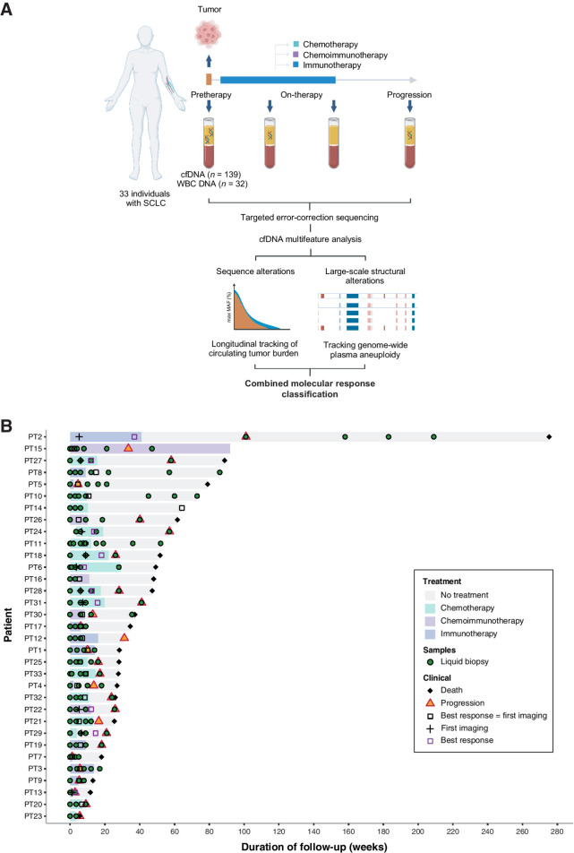 Figure 1. Study methodology and cohort analyzed. Overall, 33 patients with SCLC who received systemic treatment with either chemotherapy or immunotherapy-containing regimens were analyzed for this study. A, High-depth targeted error-correction sequencing (TEC-seq) was performed on cfDNA extracted from serial plasma samples collected at baseline and longitudinally throughout the course of treatment, alongside matched WBC DNA. Sequence and structural alterations were directly detected in cfDNA for each patient at each time point analyzed and used to evaluate longitudinal changes in cfTL using a combined tiered approach. WES was further performed on pretreatment tumor and matched WBC DNA derived from buffy coat from a subset of 5 patients and used to evaluate the concordance between copy-number profiles computed from tumor next-generation sequence data and PA. Finally, molecular response classifications were assigned to each patient based on dynamic changes in cfTL and used to predict clinical outcomes. B, Swimmer plot showing disease course in each patient, treatment, and samples collected. The mean time to first blood sample collection after initiation of treatment for patients included in the study was 9 weeks (median 3 weeks). The mean time to first imaging assessment in this cohort was 8 weeks (median 6 weeks), and the mean time to BOR assessment was 11 weeks (median 7 weeks).