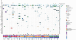 Figure 2. Landscape of sequence alterations in plasma. The type and origin of variants detected across plasma samples analyzed for this study are shown. Alteration frequencies for each gene across plasma samples analyzed are shown on the right and per-sample mutation counts are displayed in the bar plot on top. Panels indicating sampling time point, treatment type, PA scores, combined molecular response, OS, and PFS are shown below. Germline variants (filled circles) were observed in a total of 8 genes (FLT3, FGFR1, CDK6, ALK, POLE, BRAF, PTCH1, and BRCA2) on a patient-specific basis. Variants attributed to CH (crosses) were identified in canonical CH genes (DNMT3A, TP53, and ATM) in >50% (18/33) of patients analyzed for the study and across 14 additional genes at a lower prevalence. Overall, tumor-derived sequence alterations (solid border) were detected in plasma from 30 of the 33 patients analyzed and were most frequently detected in the TP53 gene, which was mutated in 26 patients. Of these 26 patients, 3 shared a mutation in RB1.