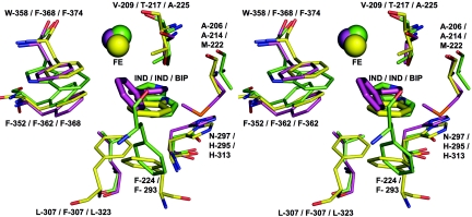 FIG. 6.