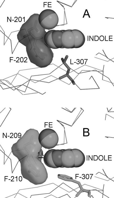 FIG. 7.