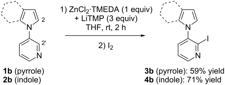 Scheme 4