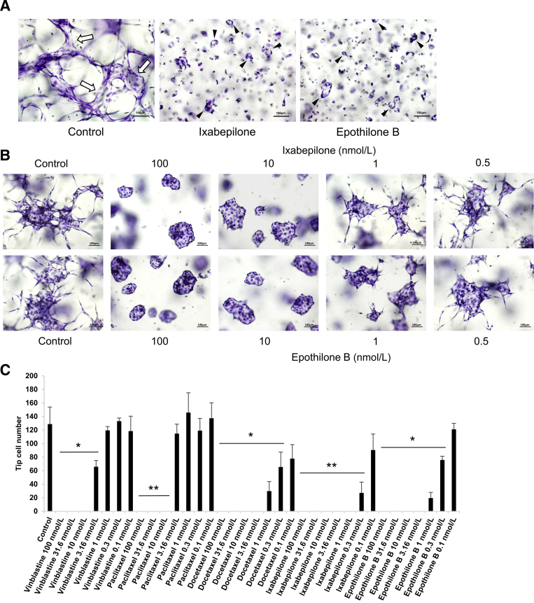 Figure 3