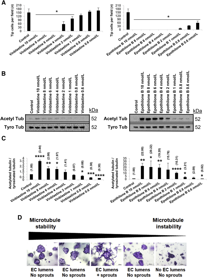 Figure 10