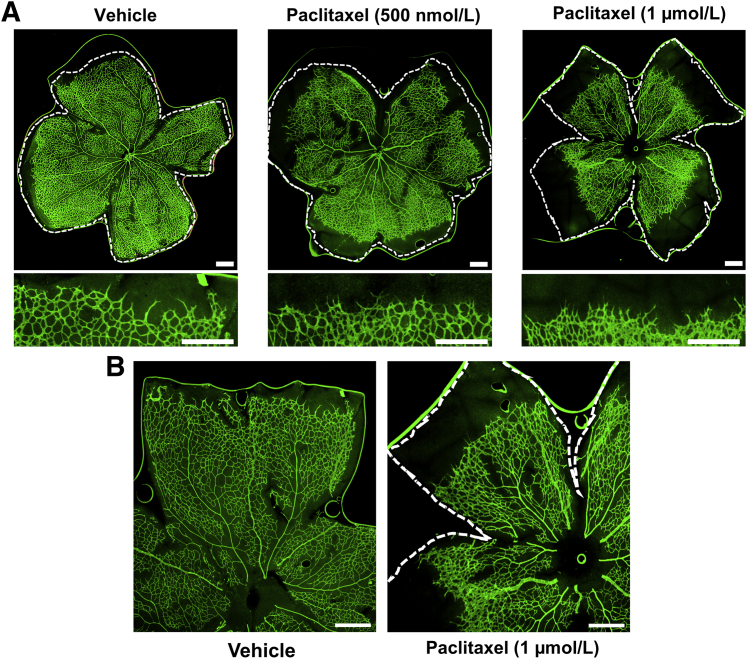 Figure 6