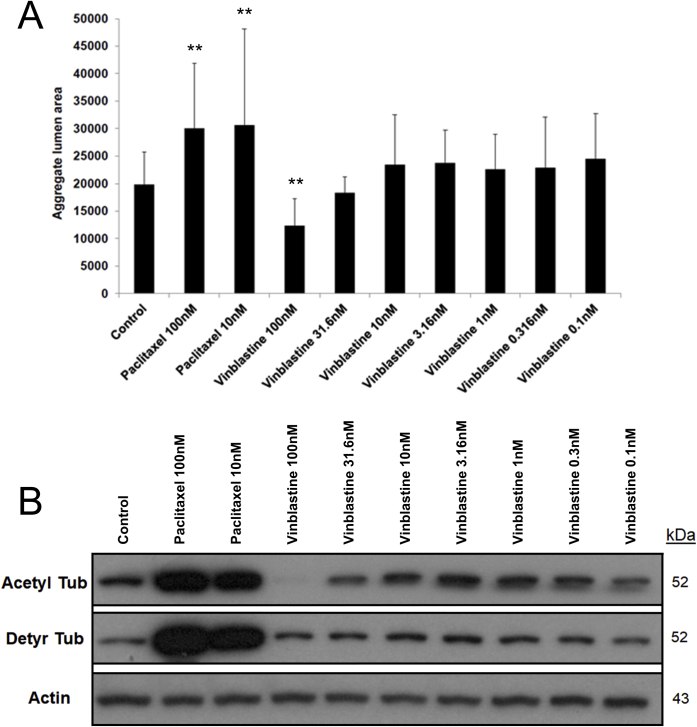 Supplemental Figure S5