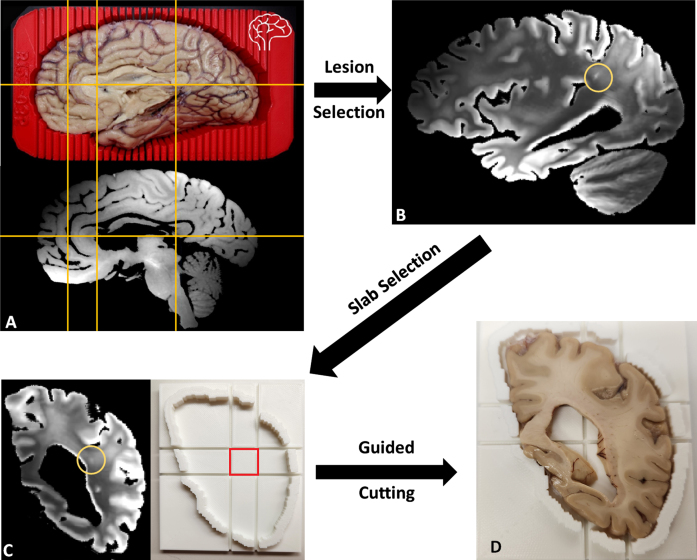 Fig. 10