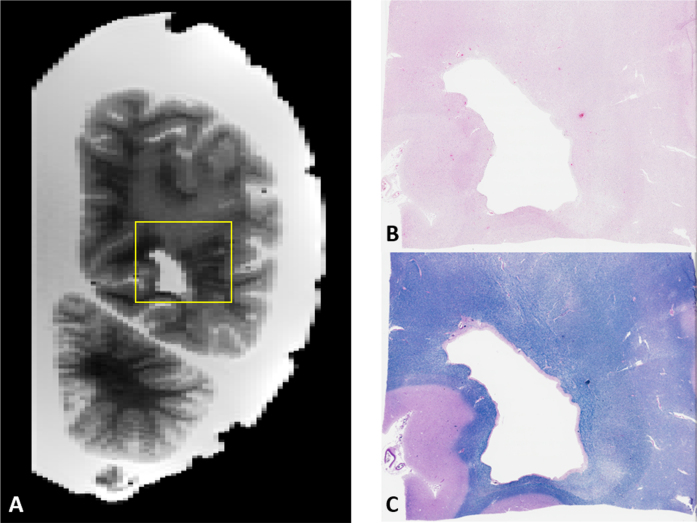 Fig. 9