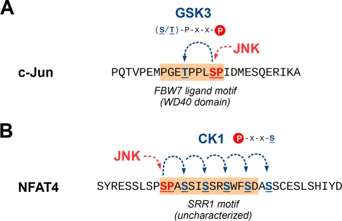 FIG 6