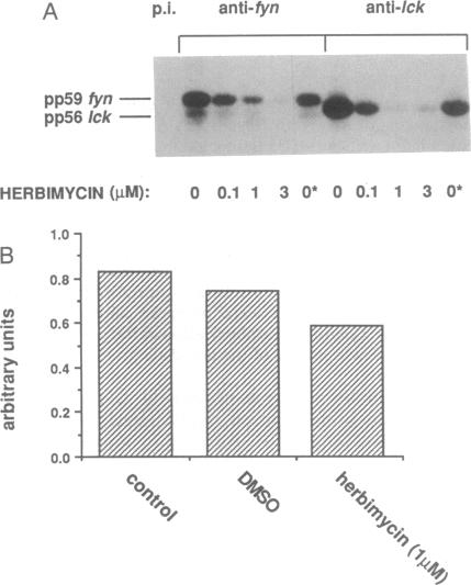 graphic file with name pnas01044-0387-a.jpg