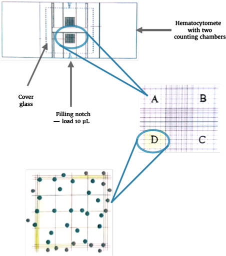 Figure 9.4