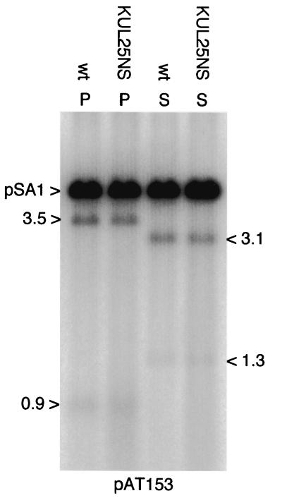 FIG. 7