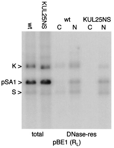 FIG. 6