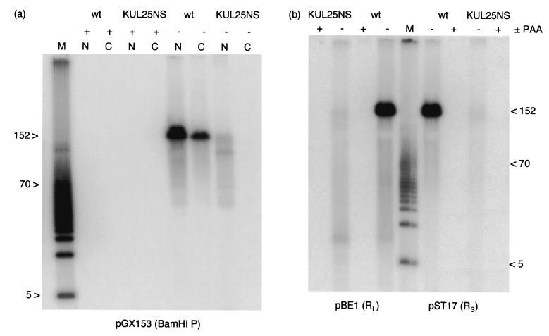 FIG. 5