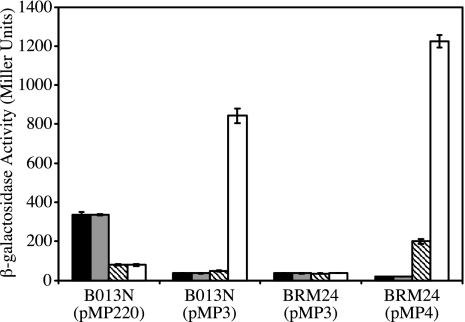 FIG. 5.