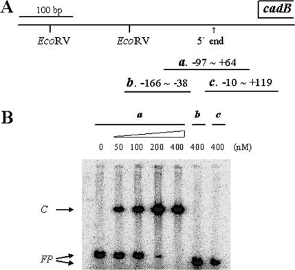 FIG. 4.