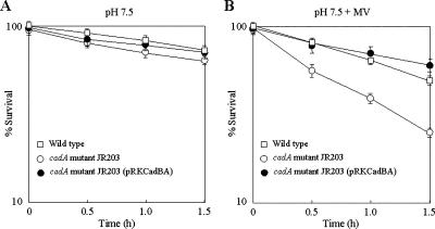 FIG. 6.