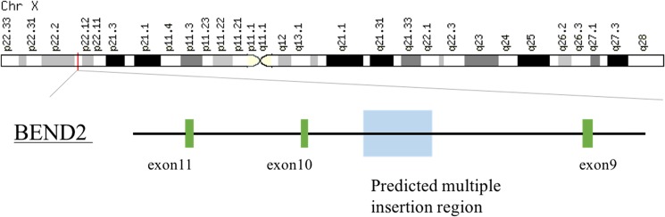 Fig 6