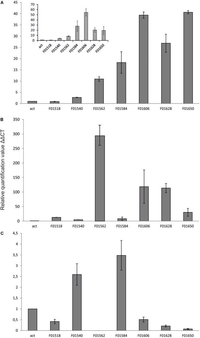 FIGURE 3