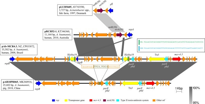 FIG 2