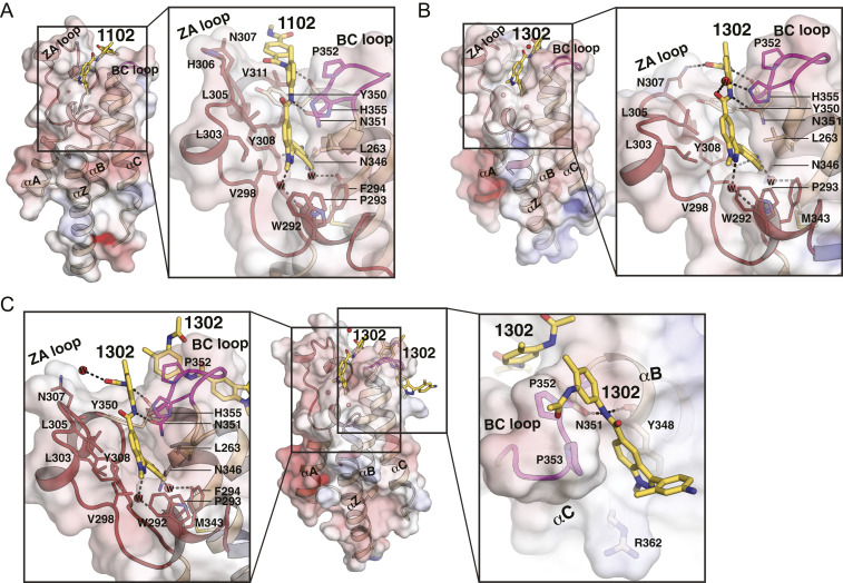 Fig. 4.