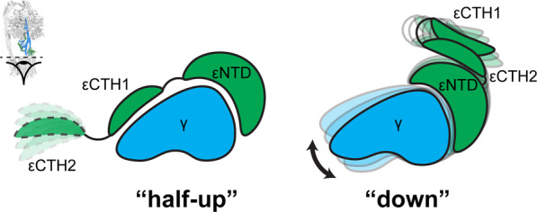 Fig. 9