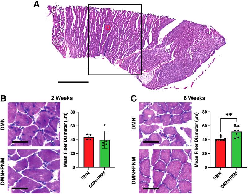FIG. 6.