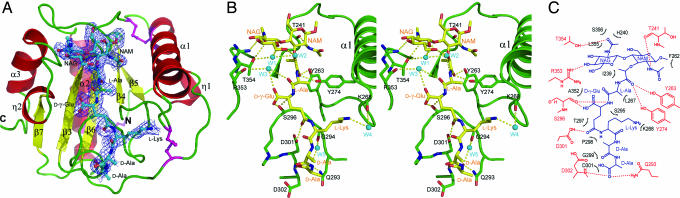 Fig. 2.