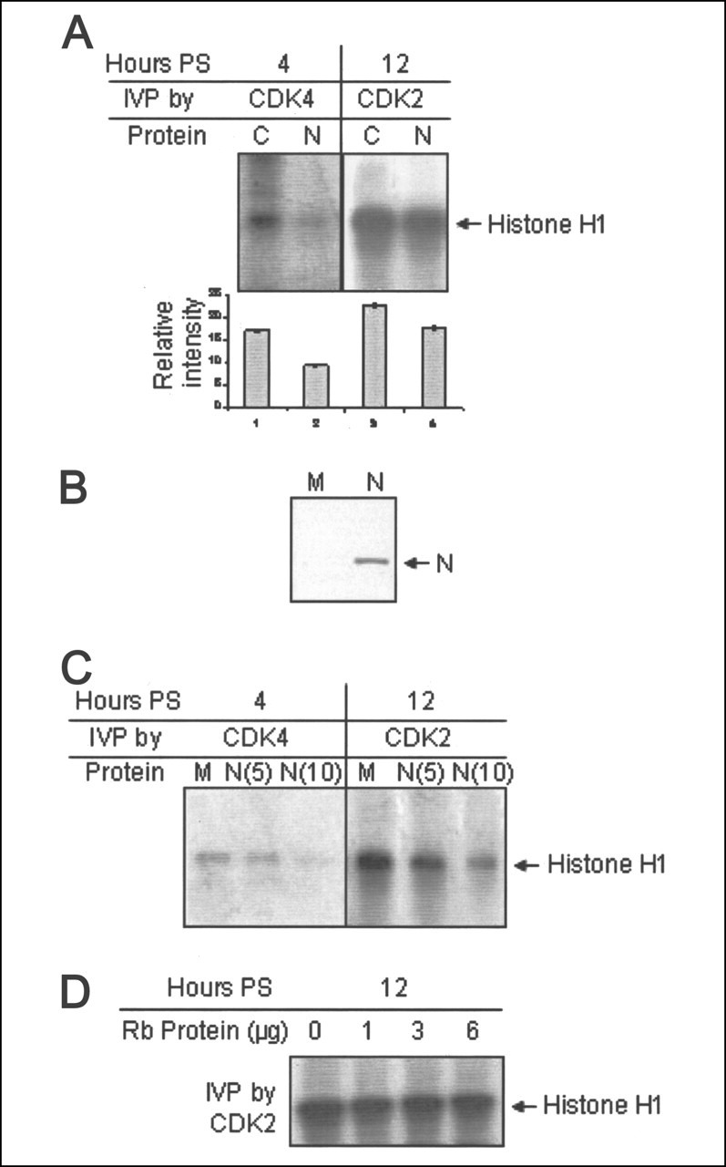 FIGURE 4