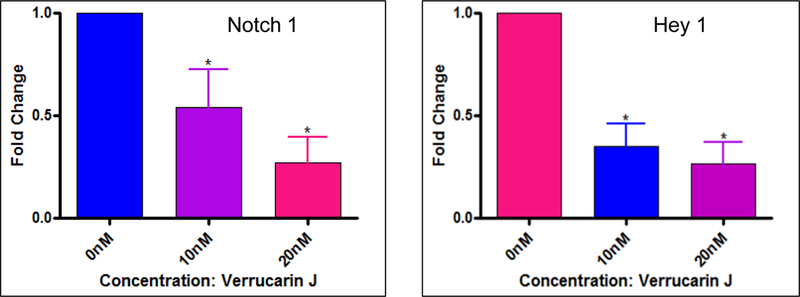 Figure 9.