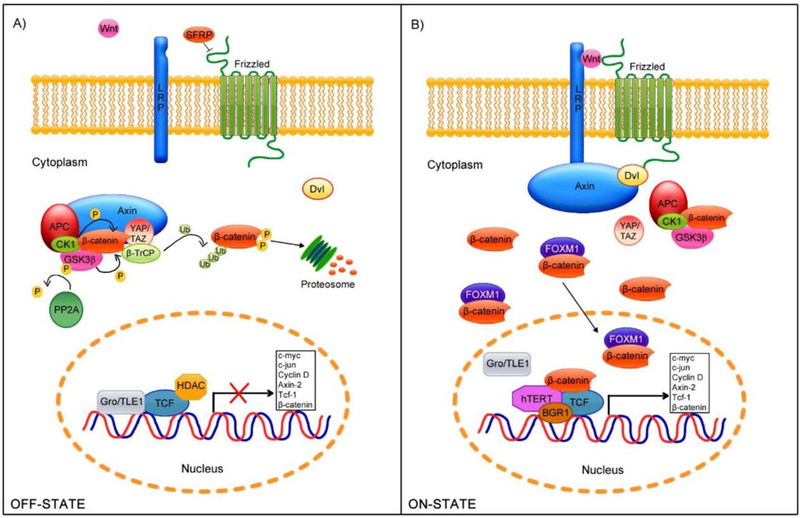 Figure 6: